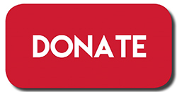 Donate Button